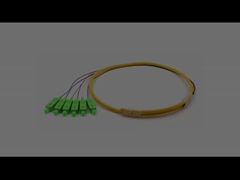 SC/APC 6 코어 펀들 팬아웃 광섬유 핑크테일 싱글 모드 9/125um 노란색 재킷