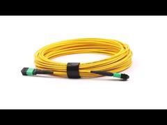 MPO/APC to MPO/APC 12파이버 단일 모드 OS2 점퍼