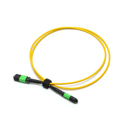MTP Jumper MPO Trunk Patch Cord 1m (3ft) with 0.35dB Max and OM4 50/125μm for High-Speed Data Transmission
